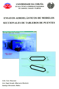 Ensayos aeroelásticos de modelos seccionales de tableros de puentes