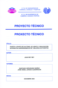 Puesta a punto de un túnel de viento y realización de ensayos aerodinámicos de tableros de puentes